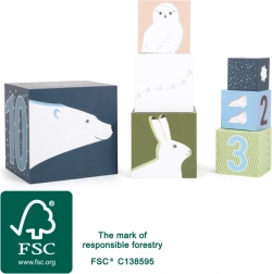Cubes empilables Arctic pour enfants