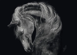 Puzzle Puissance du cheval 1000 pièces