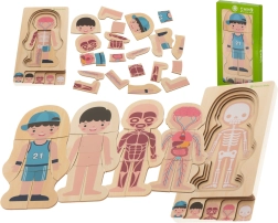 Puzzle en bois multicouche le corps humain Montessori