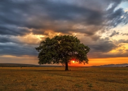 Puzzle Crépuscule 1000 pièces ENJOY