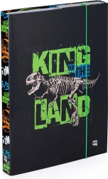 Boîte pour cahiers A4 Premium dinosaure