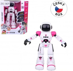 Compagnon robotique Sophie MaDe