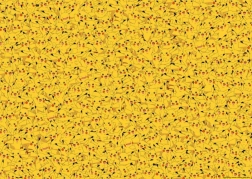 Puzzle Pokémon Pikachu 1000 pièces