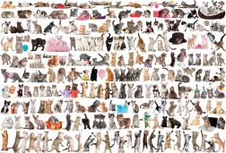 Puzzle EUROGRAPHICS Monde des chats – 2000 pièces