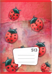 cahier A5, 10 feuilles – ligné 12 mm