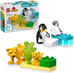 LEGO DUPLO Familles d’animaux sauvages : manchots et lions