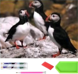 Peinture diamant XXL 120 × 60 cm – macareux, kit mosaïque