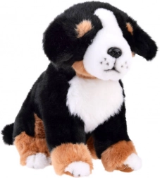 Chien en peluche Bouvier bernois - assis 20 cm