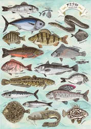 Puzzle TREFL Premium Plus Finders Keepers : poissons 500 pièces