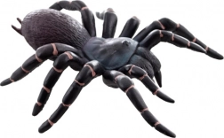Tarantule en plastique – jouet réaliste pour enfants