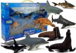 Animaux marins éducatifs, ensemble de 8 pièces Requins Phoque Dauphin Morse Tortue