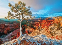 Puzzle EUROGRAPHICS Aube hivernale, Bryce Canyon (1000 pièces)
