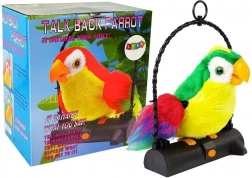 Perroquet Pleciuga Oiseau qui répète les mots vert