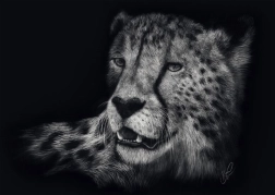 Puzzle Vitesse du guépard 1000 pièces SCHMIDT