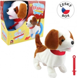 Chien Besinka avec sifflet