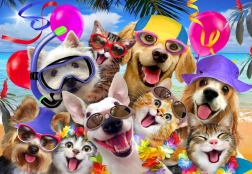 Alipson Puzzle Selfie Fête à la Plage 1000 pièces