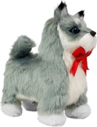 Chien husky en peluche interactif – il marche, aboie et remue la queue