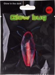 Insecte lumineux