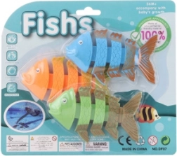 Squelettes de plongée pour enfants