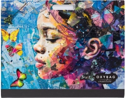 Chemise pour dessins A3 PICASSO Artist