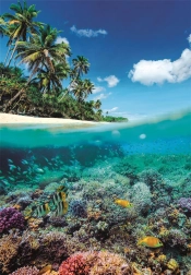 Puzzle Paradis estival 1000 pièces de Clementoni