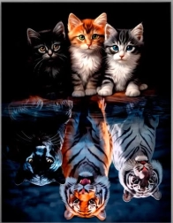 Peinture diamant – chats et félins 30 × 40 cm