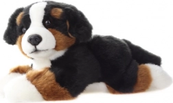 Chien de montagne bernois en peluche 25 cm