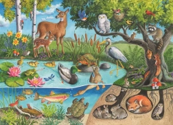 Puzzle Animaux sur et sous la terre – les secrets de la nature 60 pièces