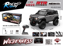 RC auto Wilderness 1:10 gris
