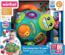Tortue interactive Tadzio