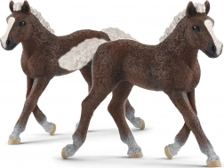 SCHLEICH HORSE CLUB poulain de la Forêt-Noire – figurine