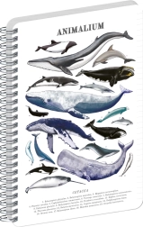 Bloc-notes spirale à lignes Notique Animalium Sous la mer A5