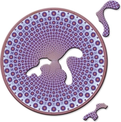 Curiosi puzzle rond mini Picoli Body, 33 pièces