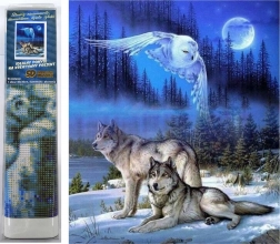 peinture diamant Lune sauvage 30 × 40 cm