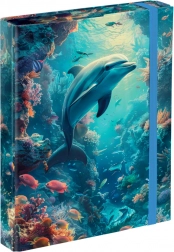 Chemise pour cahiers BAAGL Dauphin A5