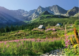 Puzzle CHERRY PAZZI Hautes Tatras – Vallée de Housenková, 1000 pièces