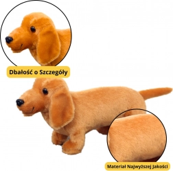 Jouet en peluche Chien Teckel Marron Clair 25 cm