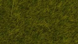 Herbe statique Prairie sauvage 6 mm