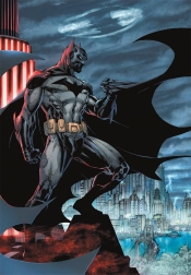 Puzzle Batman : Le Protecteur Sombre 300 pièces