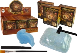 Fouilles de créatures antiques – surprise ammonite