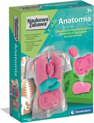 Kit éducatif d’anatomie CLEMENTONI