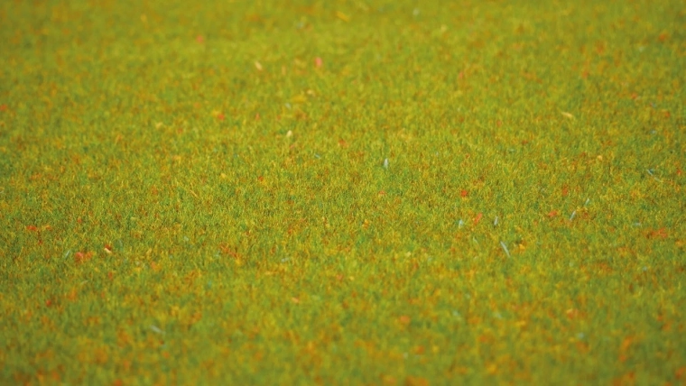 Prairie fleurie réaliste au premier regard
