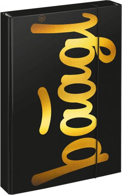 Dossiers pour cahiers scolaires A4 Jumbo Gold