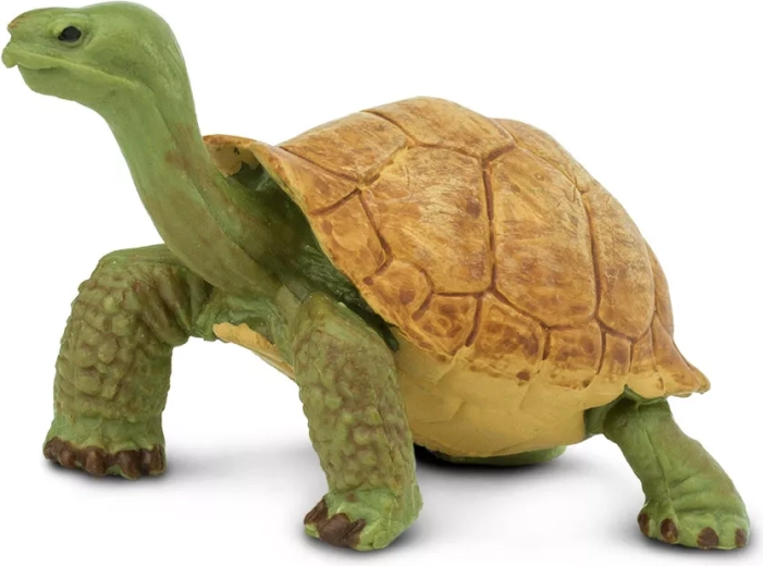 Safari Ltd. figurine de tortue géante