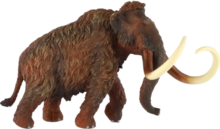 Texture et coloration fidèles