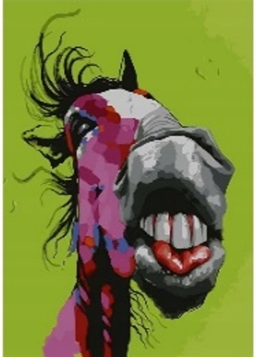 Norimpex Peinture par numéros Crazy Horse 40 × 50 cm