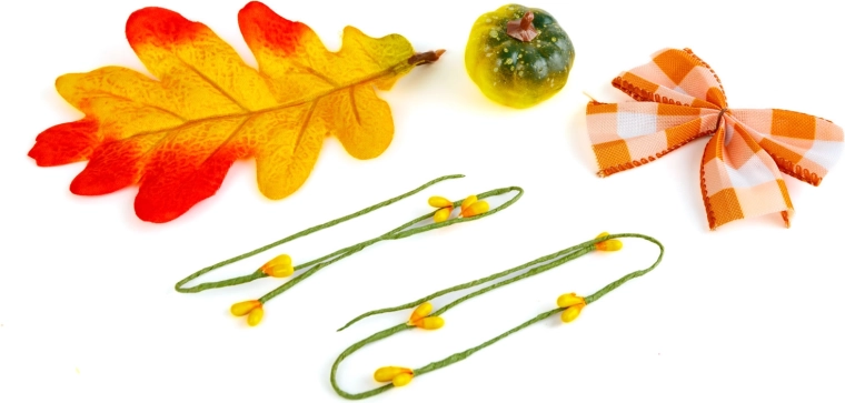 Les couleurs chaleureuses de l’automne