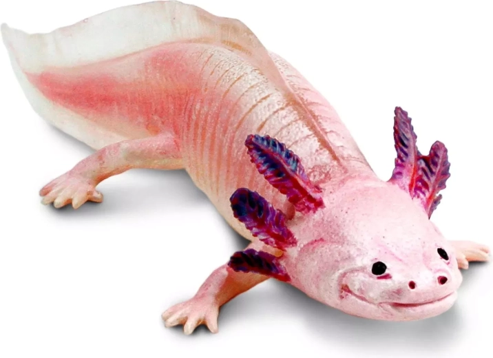 Safari Ltd. figurine d’axolotl