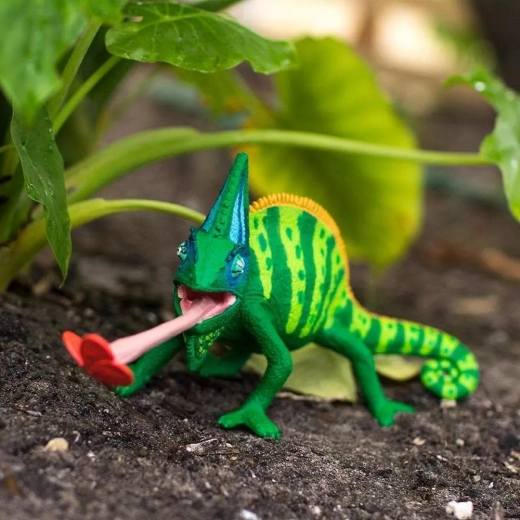 Idéal pour jouer et apprendre sur la nature