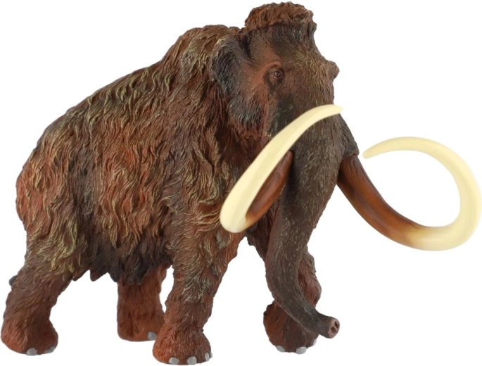 Défenses imposantes pour un look authentique